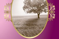 Kaç Yıl Geçti Aradan