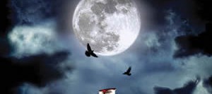 Satranç Ve Şövalye