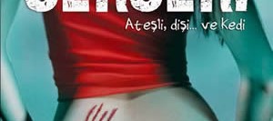 Serseri – Ateşli, Dişi…ve Kedi – Dönüşüm Serisi-1