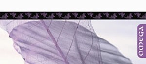 Bilinenden Kurtulmak