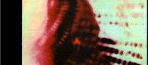 Swann’ların Tarafı – Kayıp Zamanın İzinde