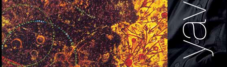 Alafrangalığın Tarihi; Geleneğin Tasfiyesi ya da Yeniden Üretilmesi