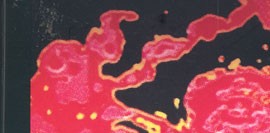 Beatrice’den Sonra Birinci Yüzyıl