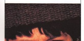 Haritanın Yırtılan Yeri