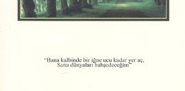 Üst Dünyaları Edinmek