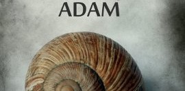 Kabuğuna Sinmiş Adam