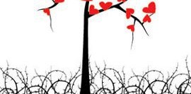 Küçük Mutluluklar Kitabı