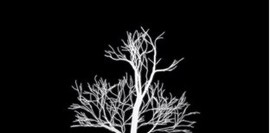 Hasret – Hasret En Büyük Esarettir