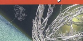 İnancın Biyolojisi