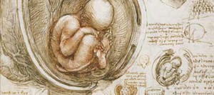 Saklı Rönesans – Türkiye Sol Edebiyat Hareketleri İçin Bir Hat