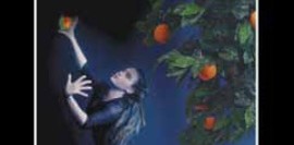 Sokak Kızı Nerrantsoula