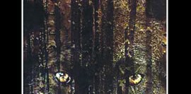 Vahşetin Çağrısı