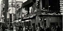 Sineklerin Kanadı Yoktur