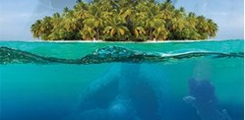 Ti Amo Ada (Seni Seviyorum Ada)