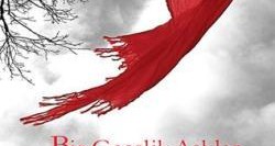 Bir Gecelik Aşklar Nereye Gider