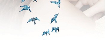 Güçlü Kal – 365 Gün Hayata Tutun