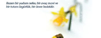 Kara Kış Beyaz Düş