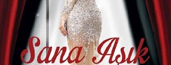 Sana Aşık Değilim