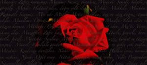 Bülbülün Kırk Şarkısı