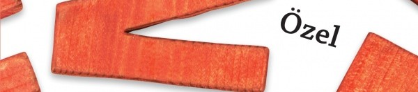 Çok Özel İsimler Sözlüğü