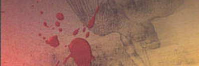 Kanatların Çağrısı