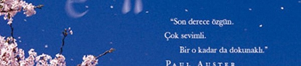 Profesör ve Hizmetçi