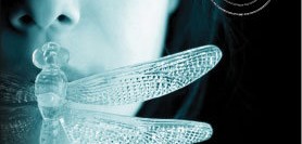 Yusufçuk Gece Gelir