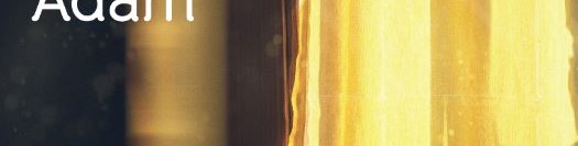 Kedileri Daha Çok Seven Adam