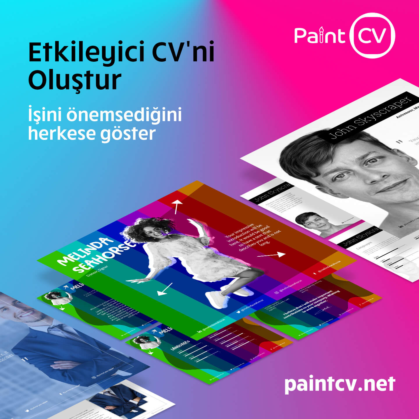 PaintCV.net