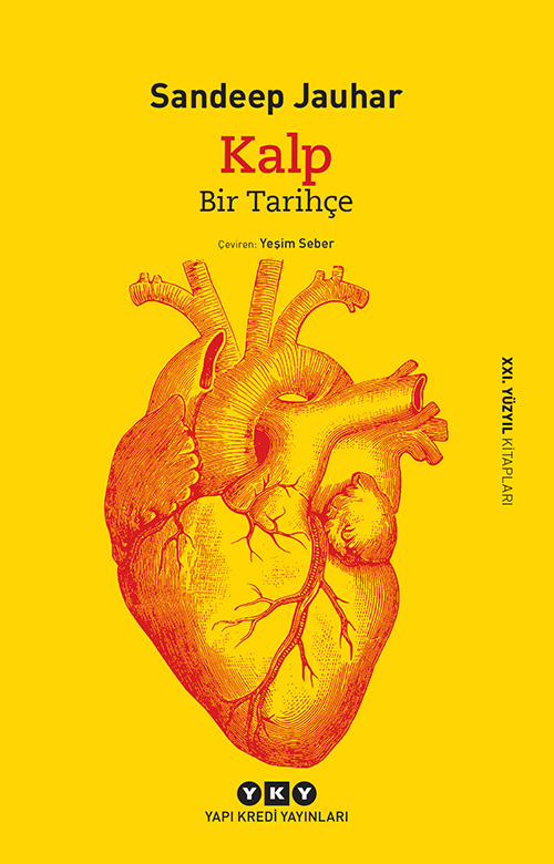 Kalp / Bir Tarihçe