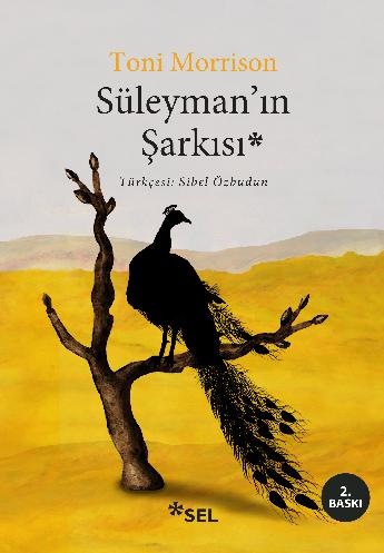 Süleyman’ın Şarkısı