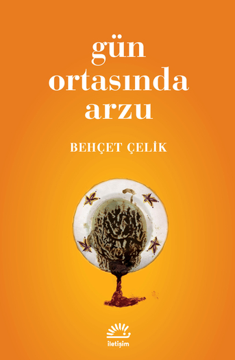 Gün Ortasında Arzu