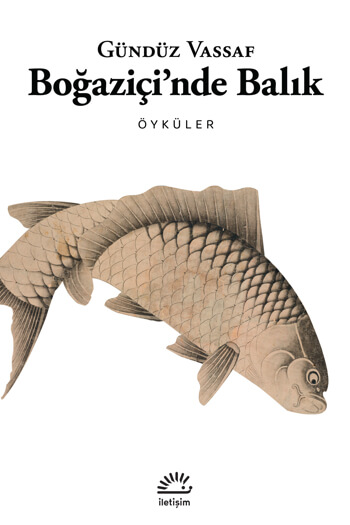 Boğaziçi’nde Balık